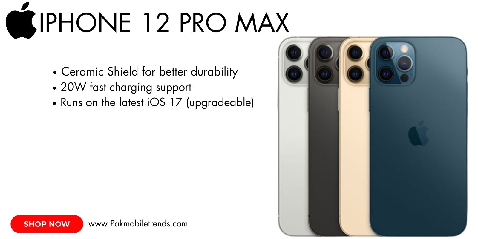 iPhone 12 Pro Max with sleek design and triple-camera system