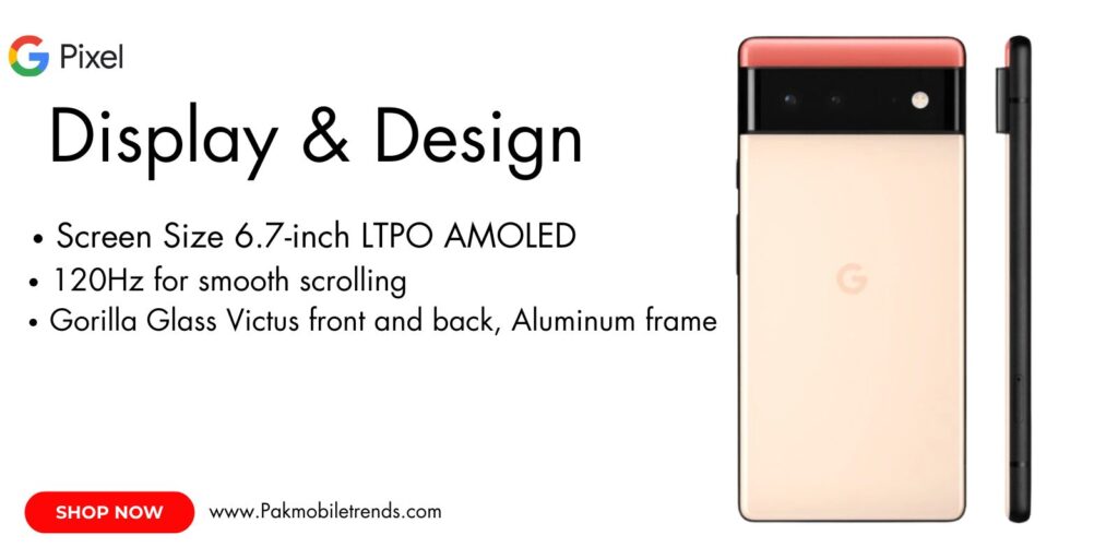 Google Pixel 6 Pro display showcasing a vibrant 6.7-inch LTPO OLED screen with smooth 120Hz refresh rate and high resolution.