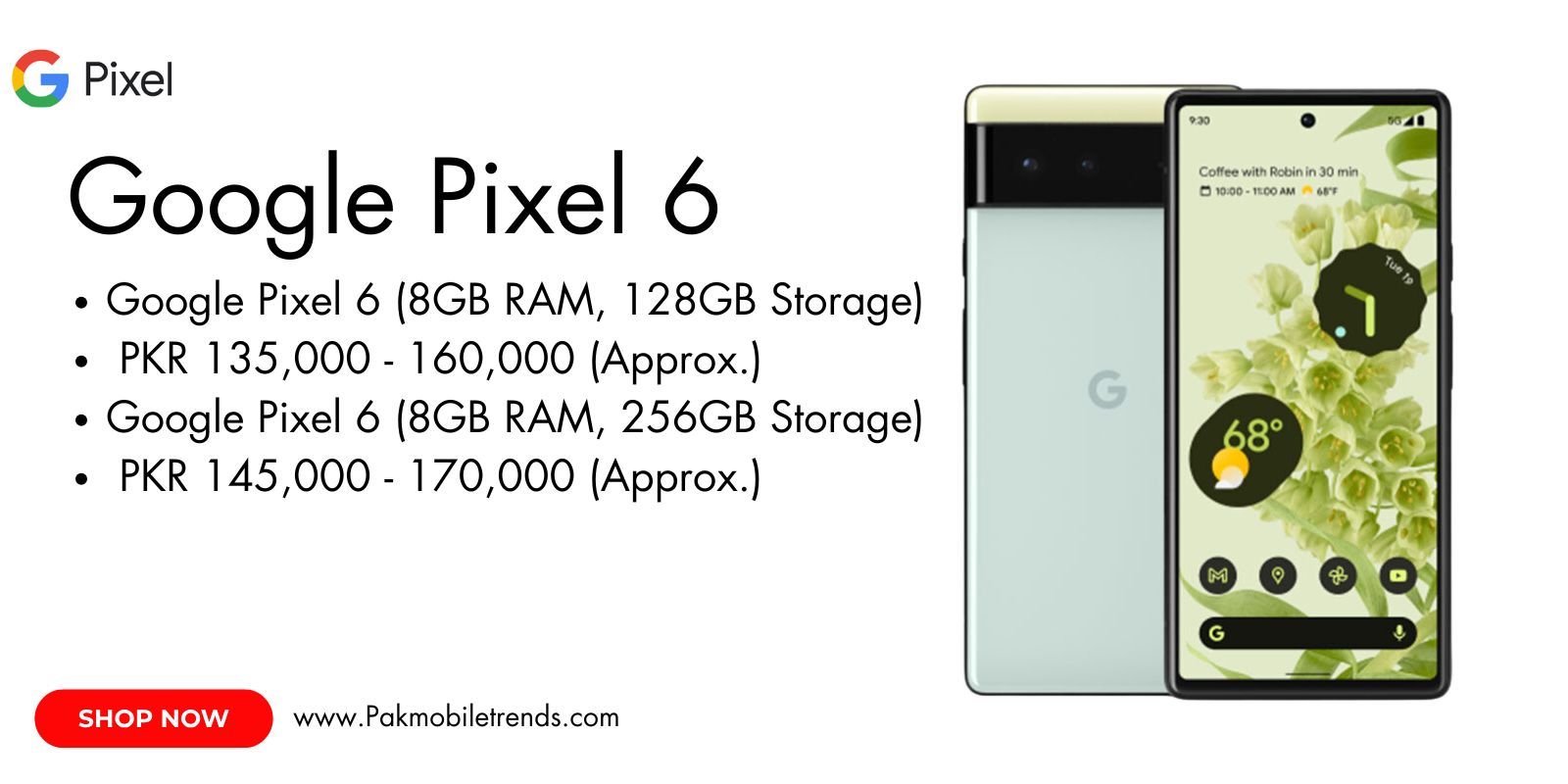 Google Pixel 6 smartphone showcasing its sleek design, dual-tone finish, and advanced camera system.