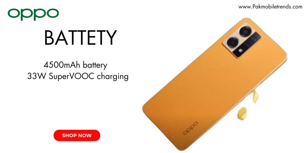 High-capacity battery with long-lasting performance