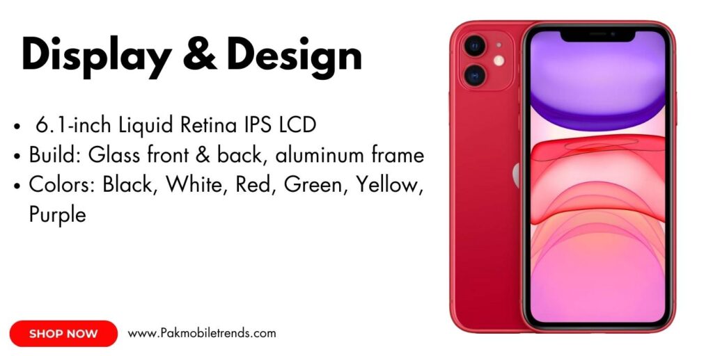 Apple iPhone 11 with dual-camera system and Liquid Retina display in vibrant colors.