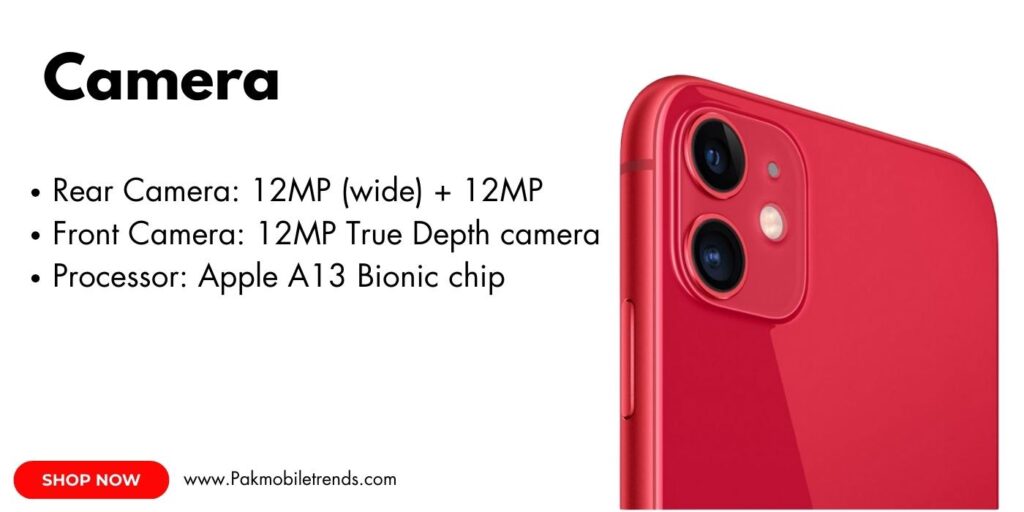 Close-up view of the iPhone 11 Liquid Retina HD display with vibrant colors and edge-to-edge design.