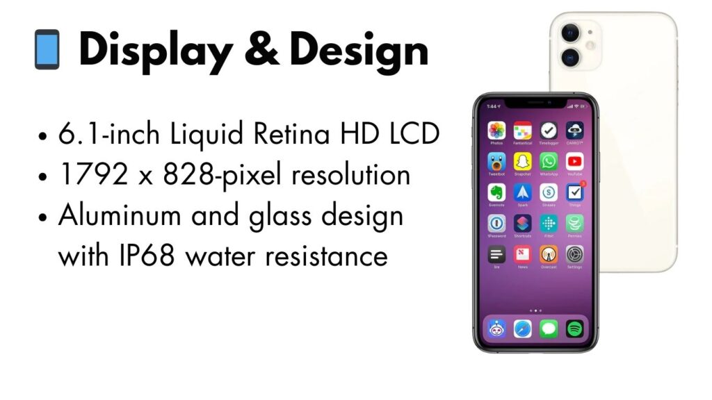 iPhone 11 display showing vibrant colors and sleek design